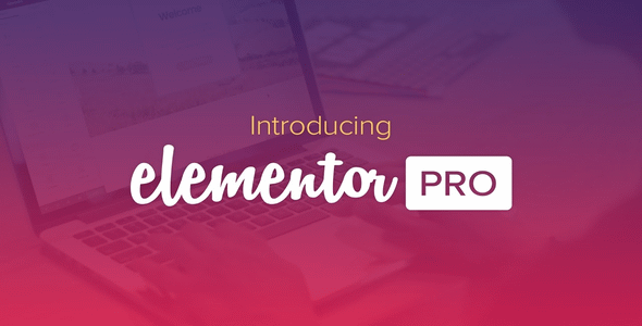 Elementor Pro - The Most Advanced Pages Builder Plugin