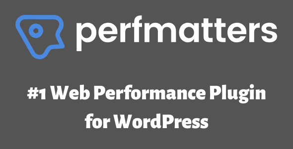 Perfmatters - Plugin Developed To Speed Up Your WordPress Site